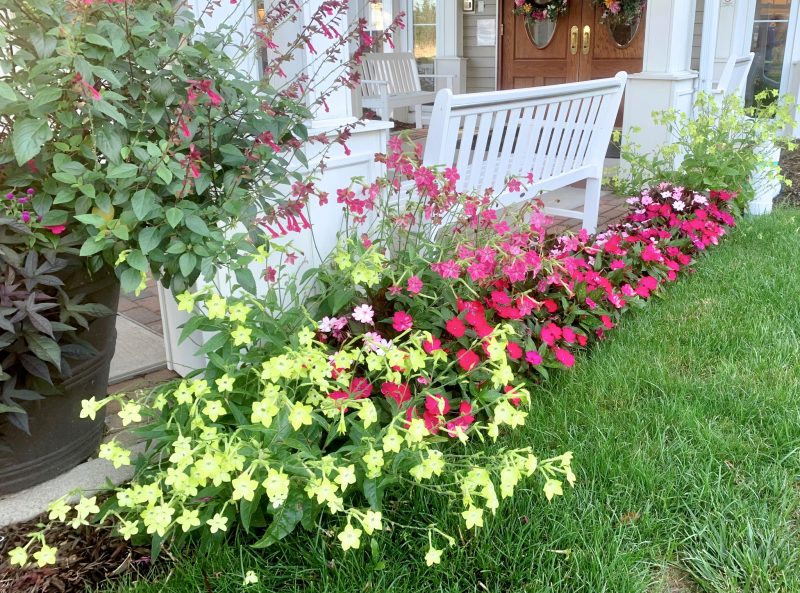 flowers